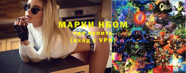 сатива Белоозёрский