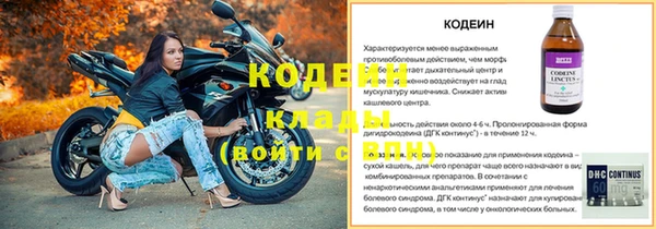 apvp Белокуриха