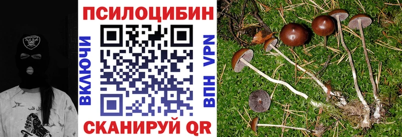 Псилоцибиновые грибы Magic Shrooms  Борзя 